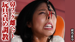 Nose hook female pet toy torture training Nana Maeno